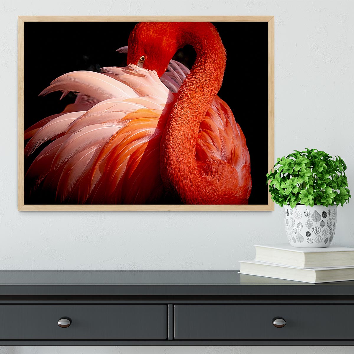 flamingo Close Up Framed Print - Canvas Art Rocks - 4