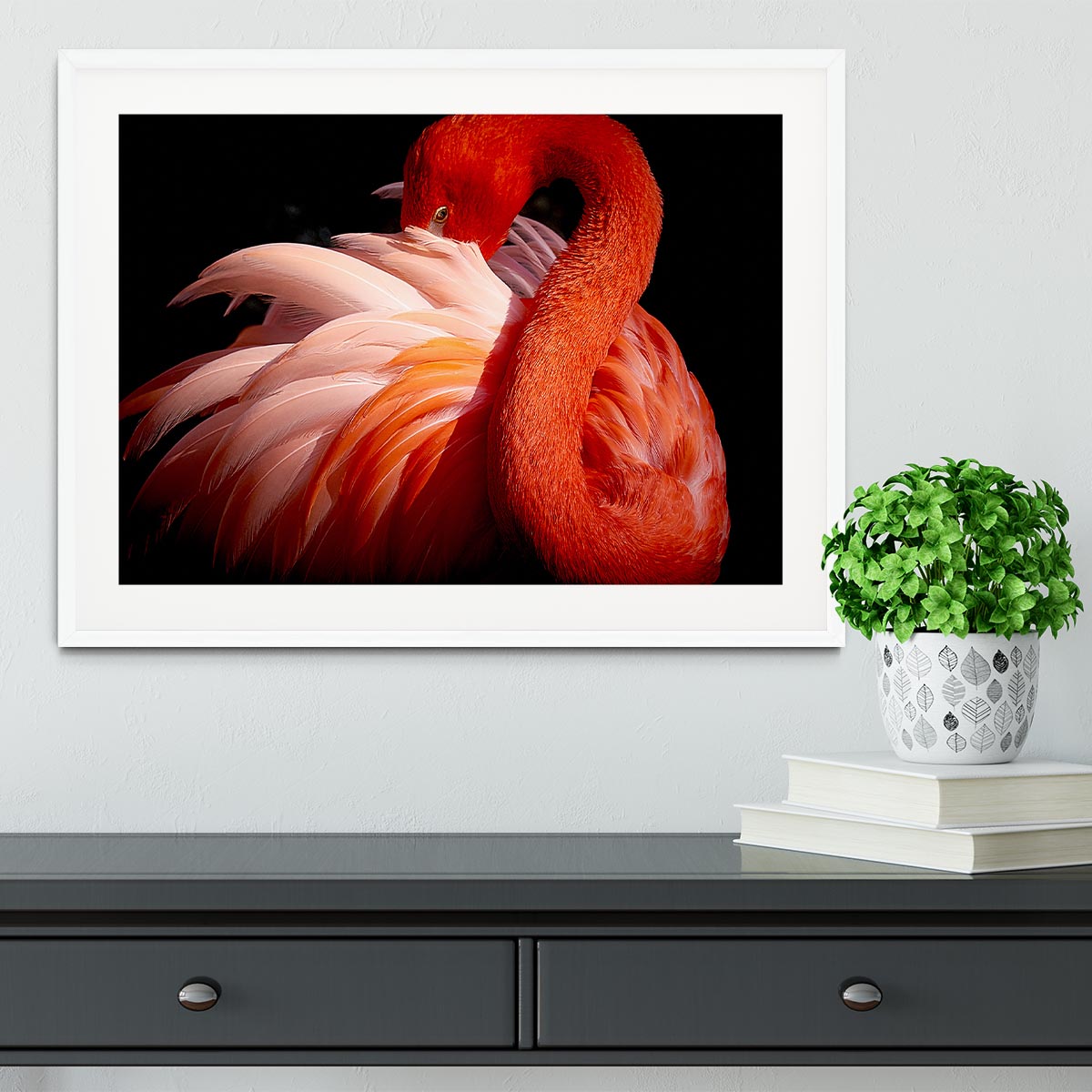 flamingo Close Up Framed Print - Canvas Art Rocks - 5