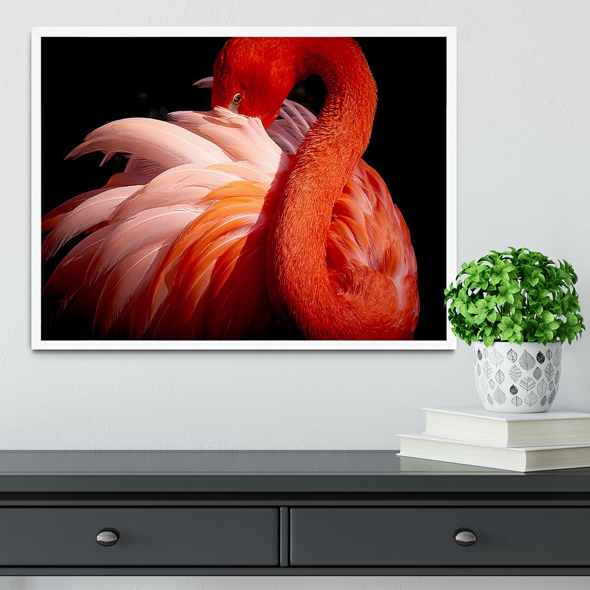 flamingo Close Up Framed Print - Canvas Art Rocks -6