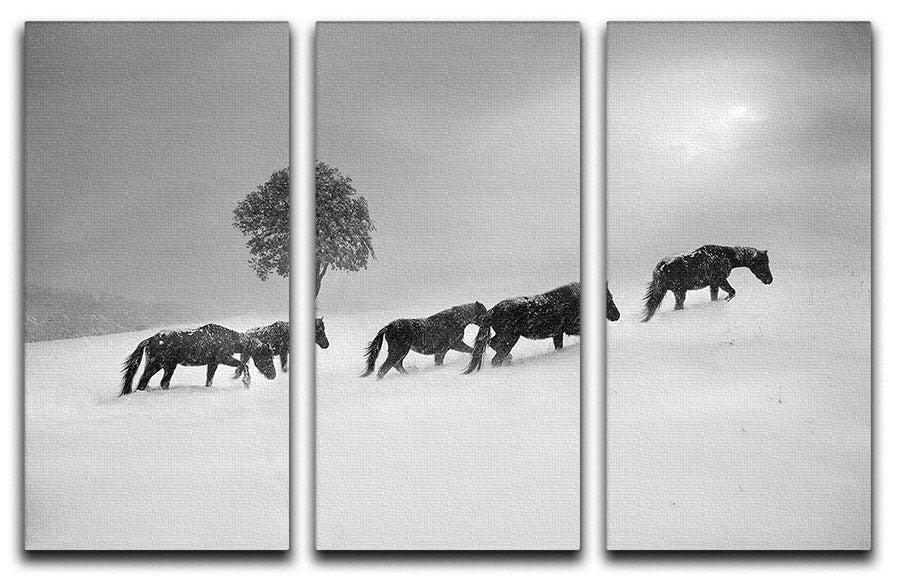 Icelandic Horses 3 Split Panel Canvas Print - Canvas Art Rocks - 1