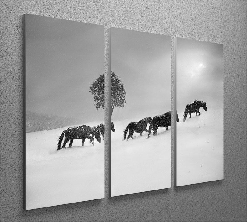 Icelandic Horses 3 Split Panel Canvas Print - Canvas Art Rocks - 2