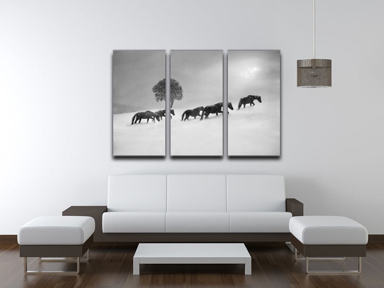 Icelandic Horses 3 Split Panel Canvas Print - Canvas Art Rocks - 3
