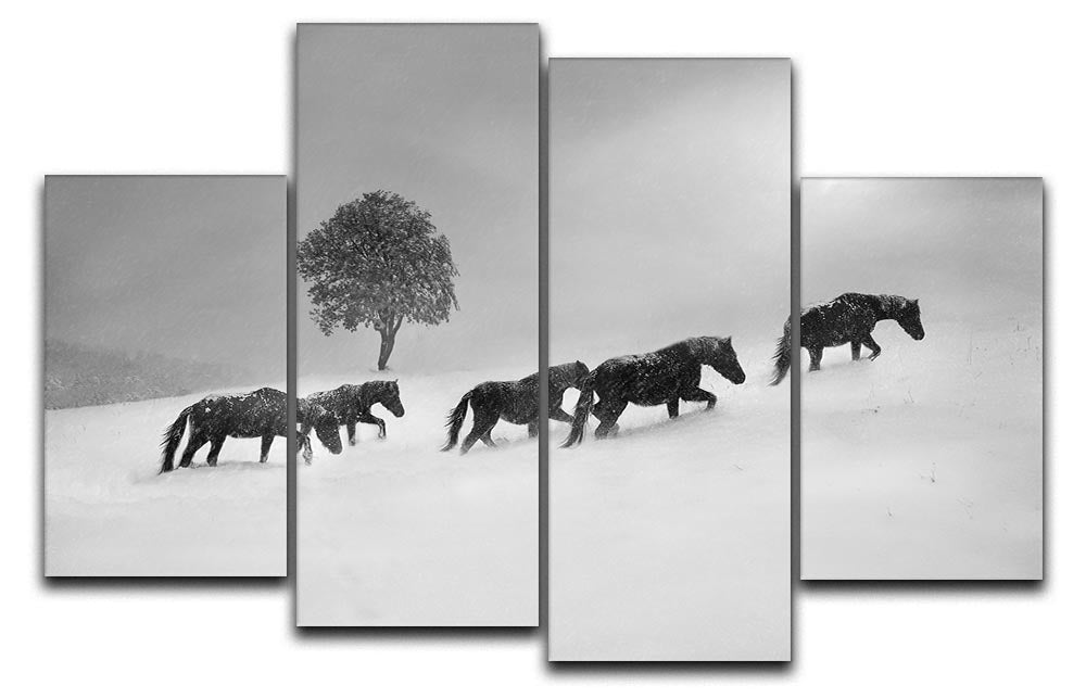 Icelandic Horses 4 Split Panel Canvas - Canvas Art Rocks - 1