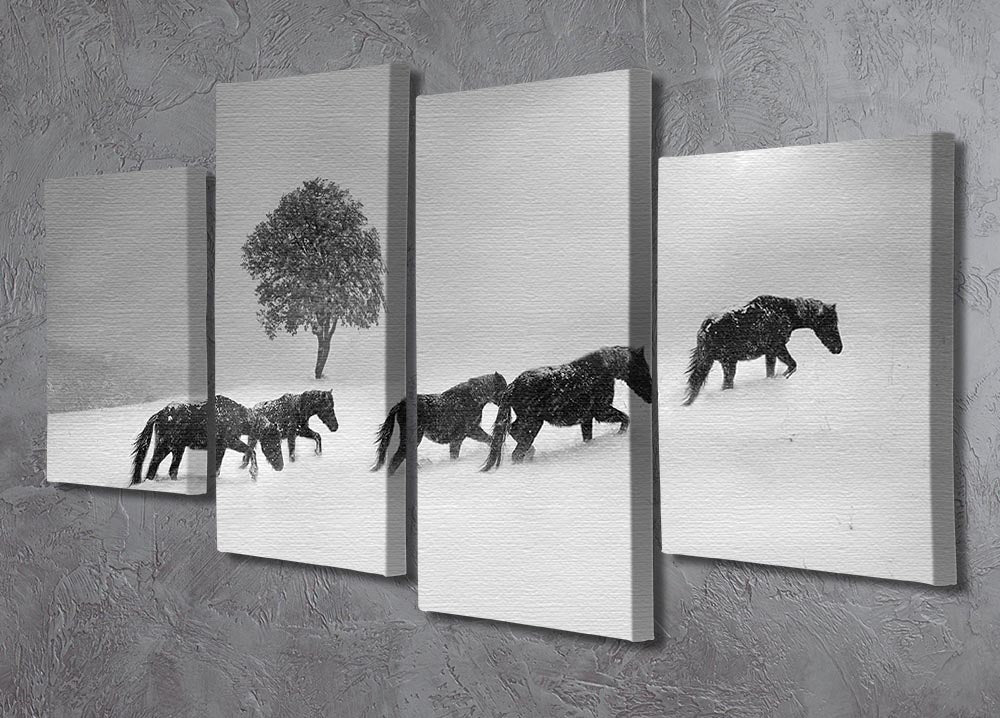 Icelandic Horses 4 Split Panel Canvas - Canvas Art Rocks - 2