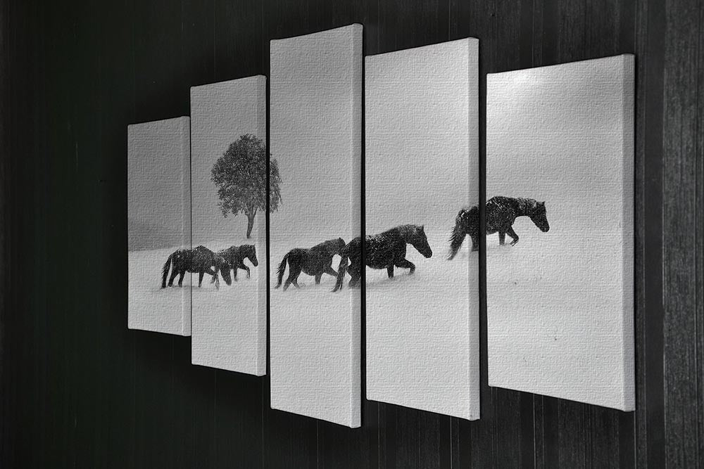 Icelandic Horses 5 Split Panel Canvas - Canvas Art Rocks - 2