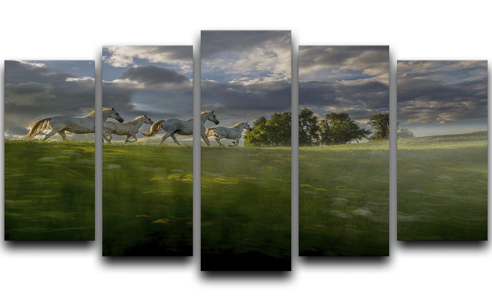 Galloping Horses 5 Split Panel Canvas - Canvas Art Rocks - 1