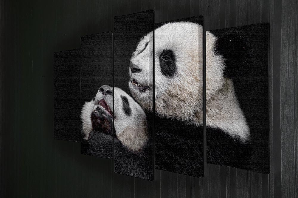 Pandas Playing 5 Split Panel Canvas - Canvas Art Rocks - 2