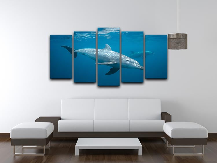 Curious Dolphin 5 Split Panel Canvas - Canvas Art Rocks - 3