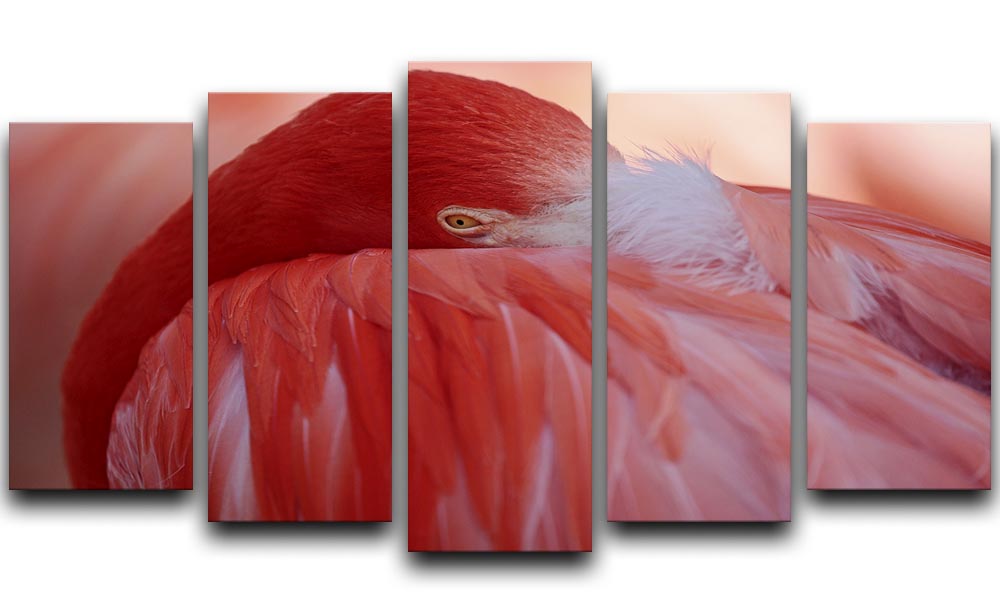Red Flamingo 5 Split Panel Canvas - Canvas Art Rocks - 1