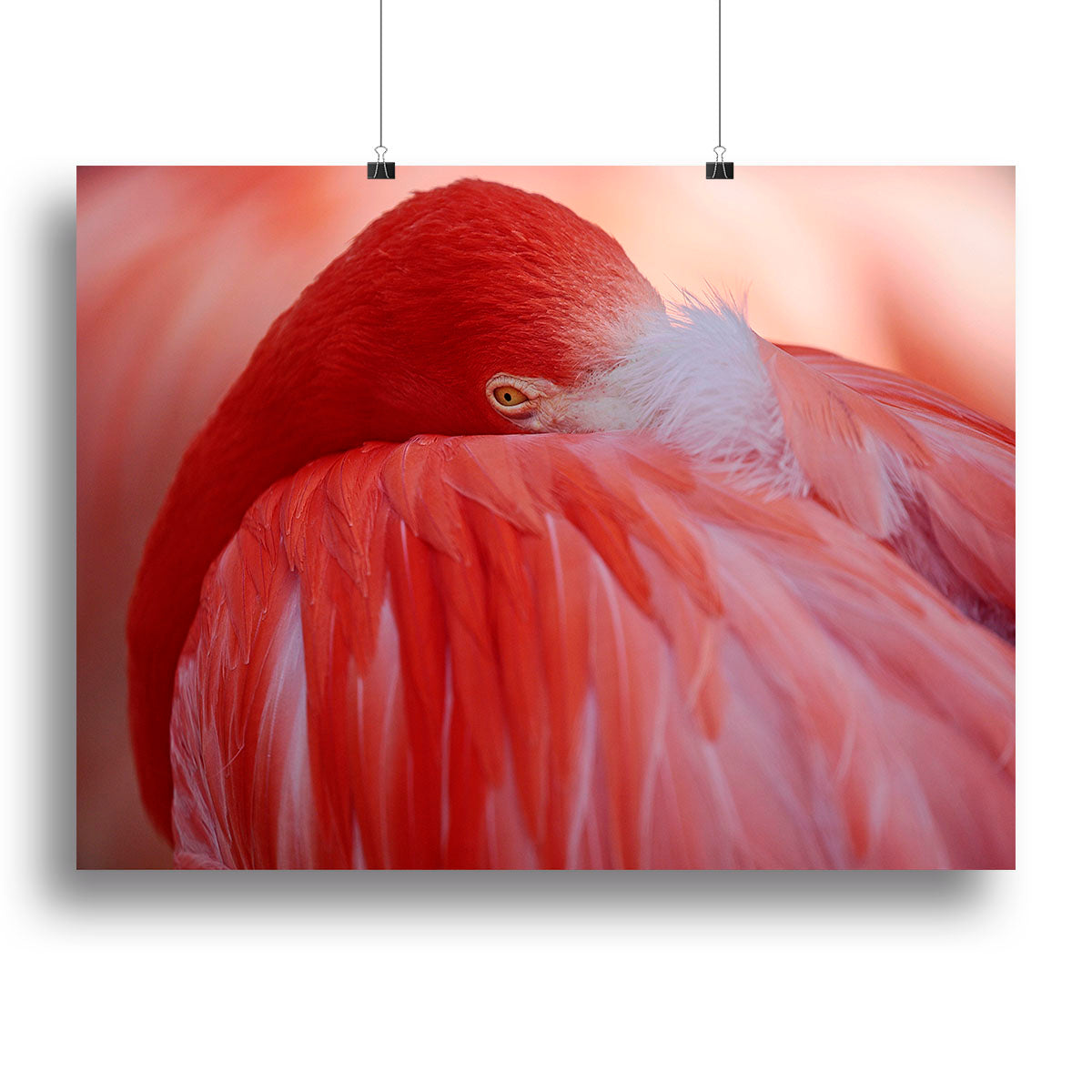 Red Flamingo Canvas Print or Poster - Canvas Art Rocks - 2