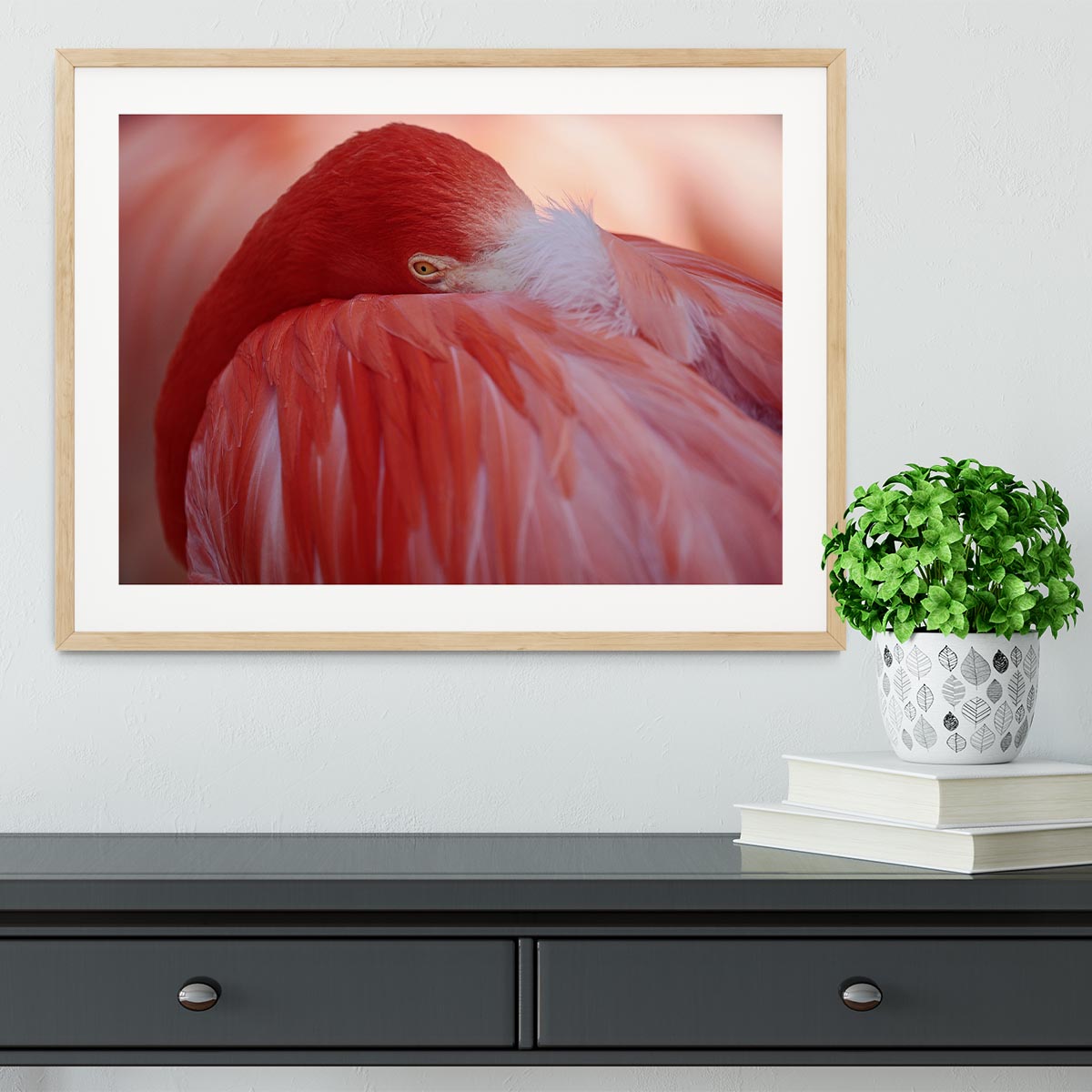 Red Flamingo Framed Print - Canvas Art Rocks - 3