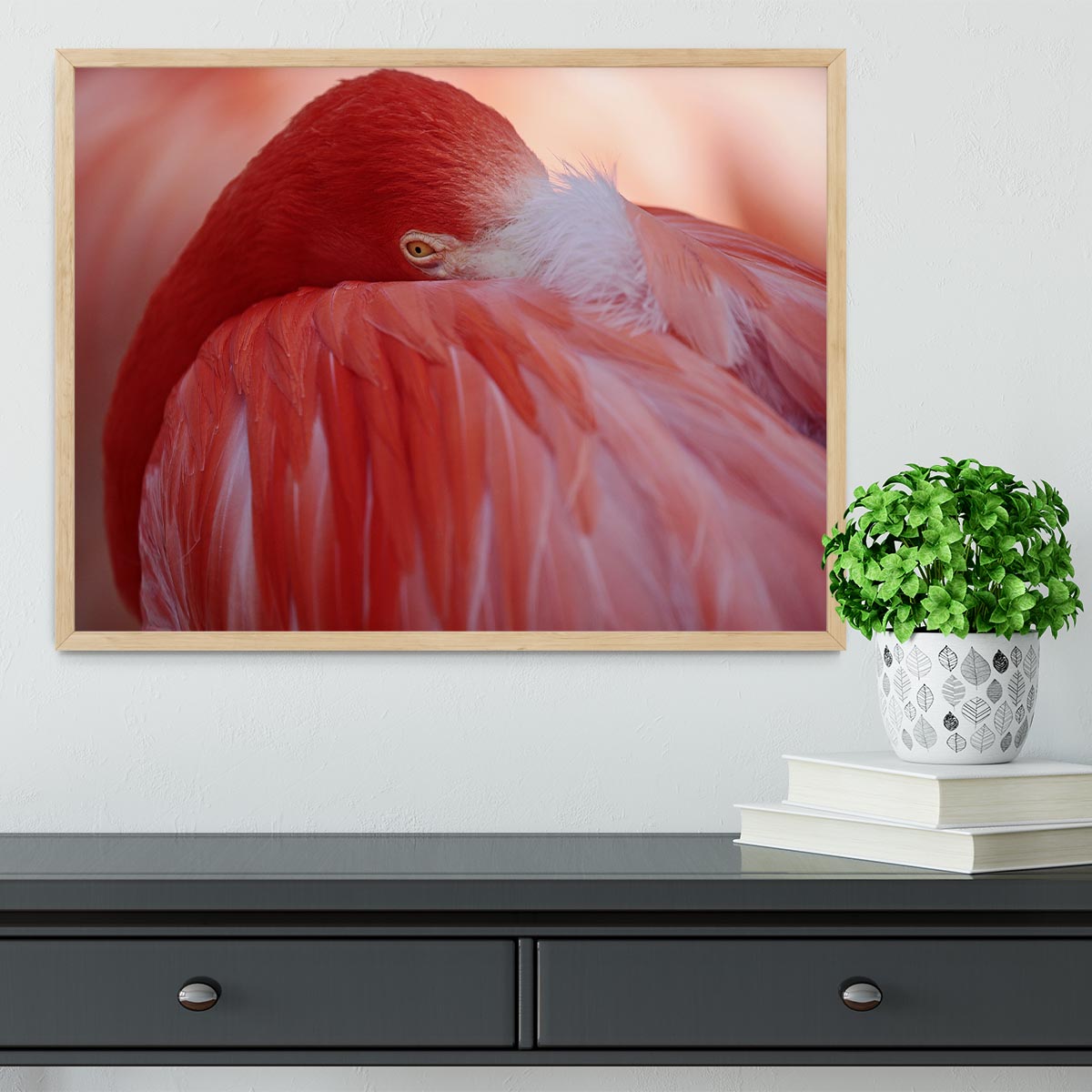 Red Flamingo Framed Print - Canvas Art Rocks - 4