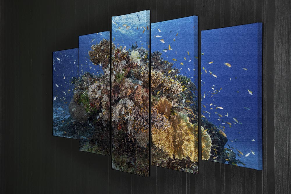 Underwater Biodiversity 5 Split Panel Canvas - Canvas Art Rocks - 2