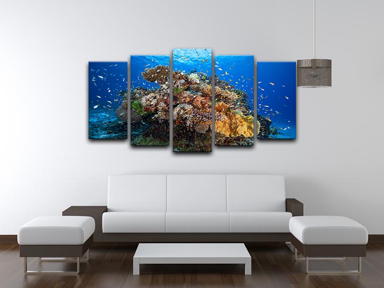 Underwater Biodiversity 5 Split Panel Canvas - Canvas Art Rocks - 3