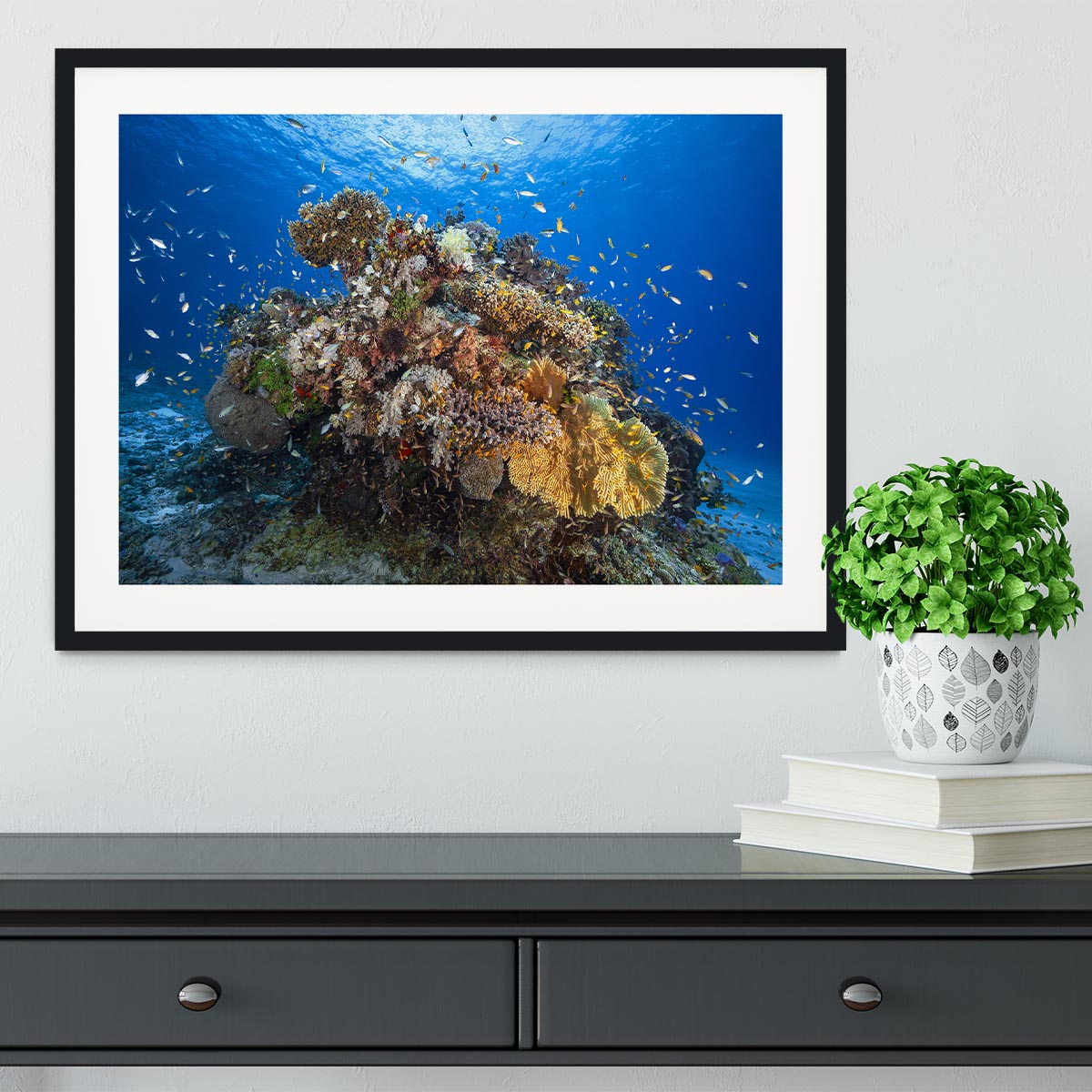 Underwater Biodiversity Framed Print - Canvas Art Rocks - 1