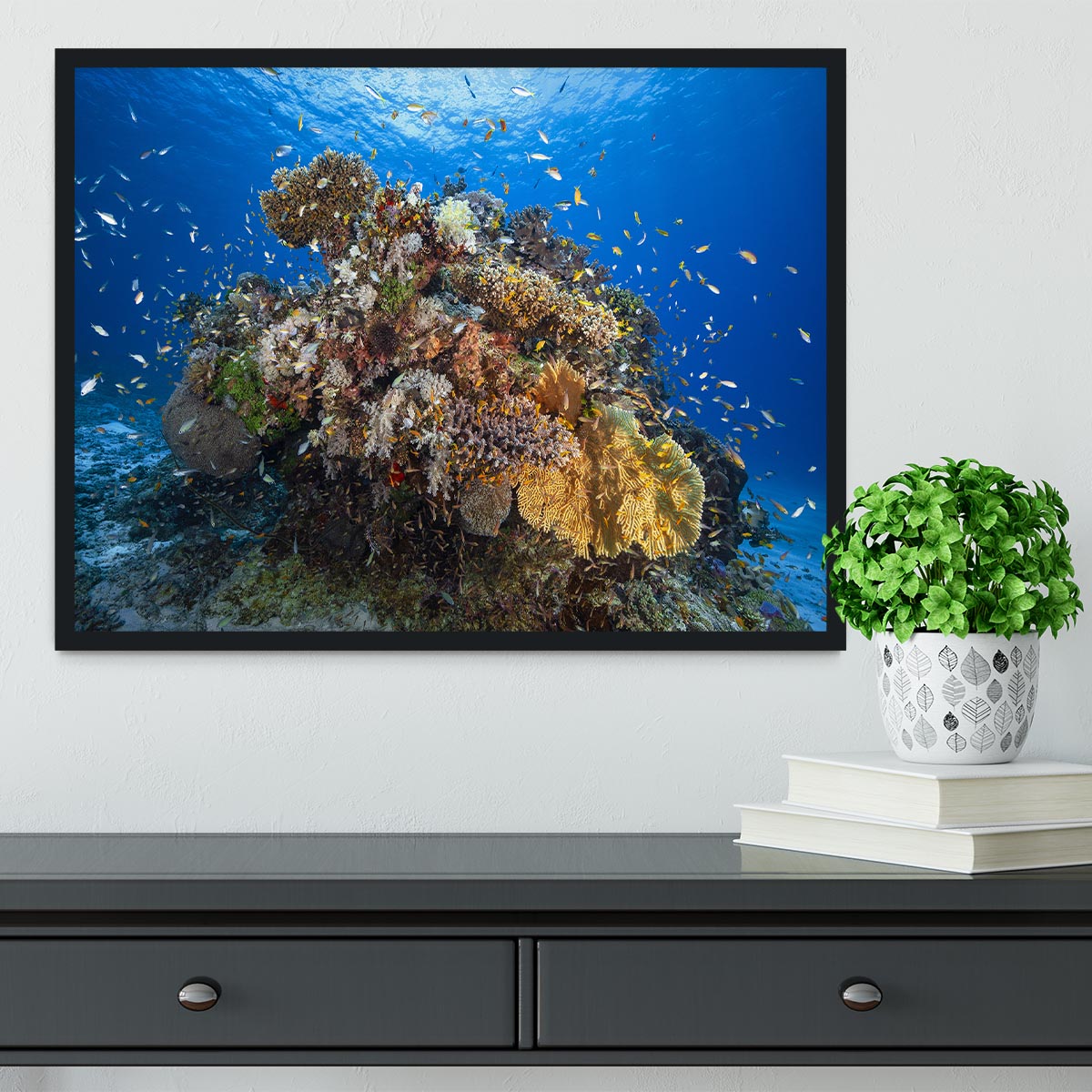 Underwater Biodiversity Framed Print - Canvas Art Rocks - 2