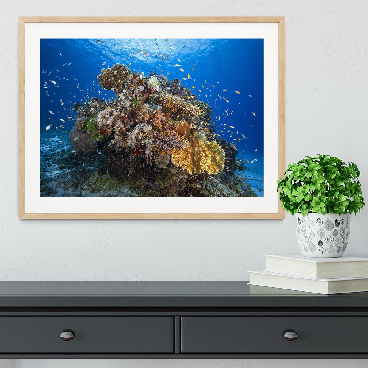 Underwater Biodiversity Framed Print - Canvas Art Rocks - 3