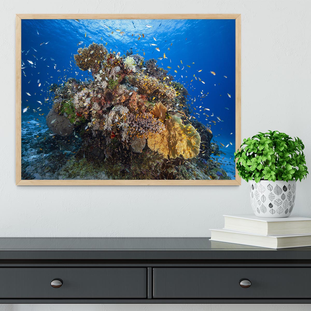 Underwater Biodiversity Framed Print - Canvas Art Rocks - 4
