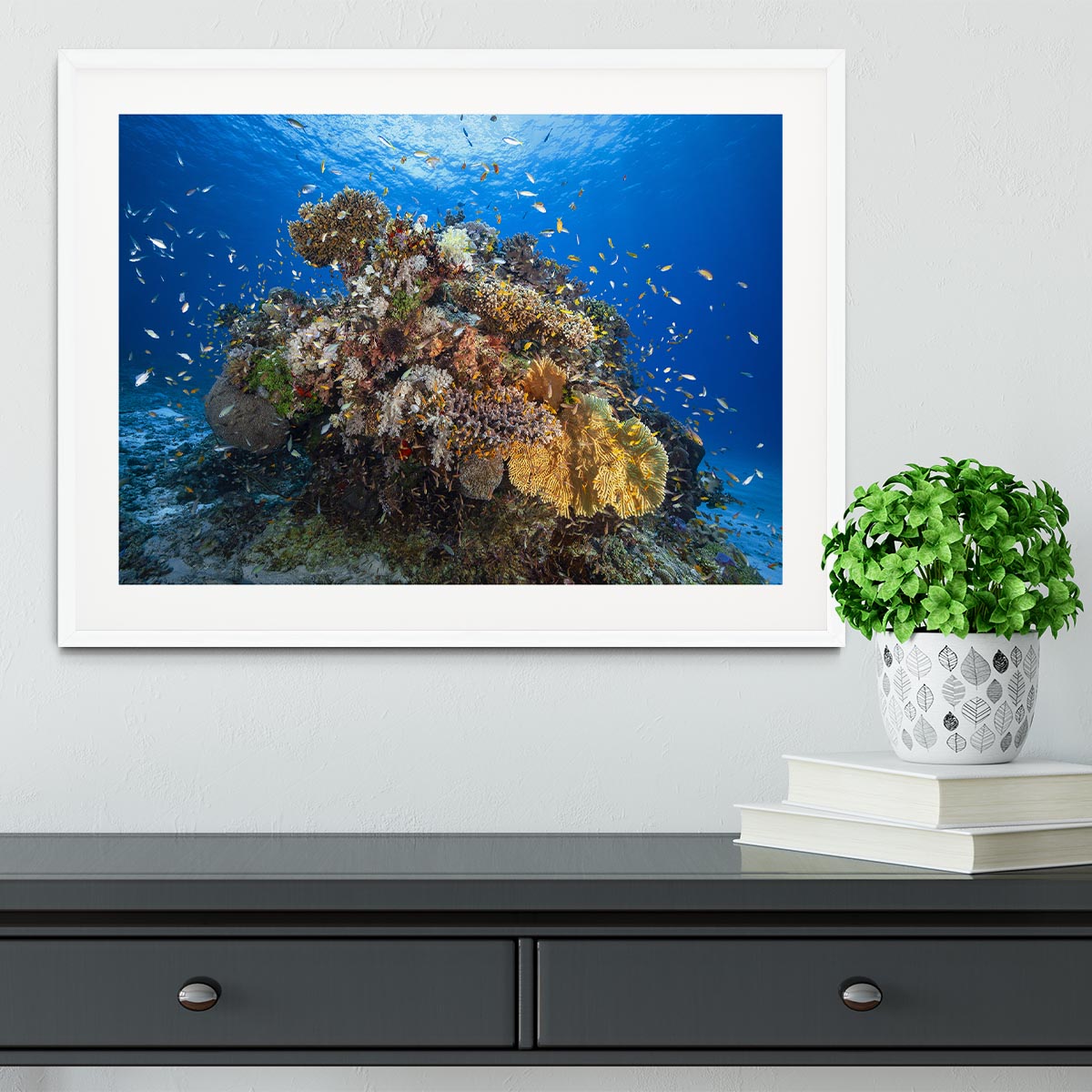Underwater Biodiversity Framed Print - Canvas Art Rocks - 5