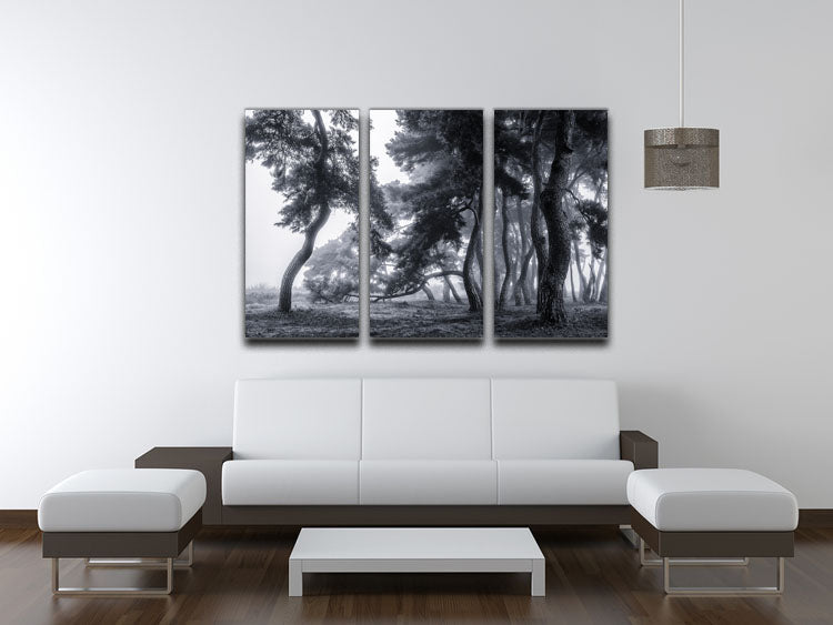 Pine Trees Dancing In The Fog 3 Split Panel Canvas Print - Canvas Art Rocks - 3