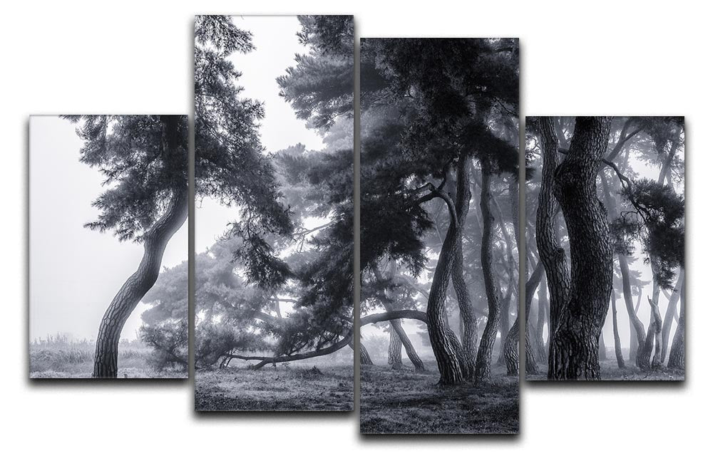Pine Trees Dancing In The Fog 4 Split Panel Canvas - Canvas Art Rocks - 1
