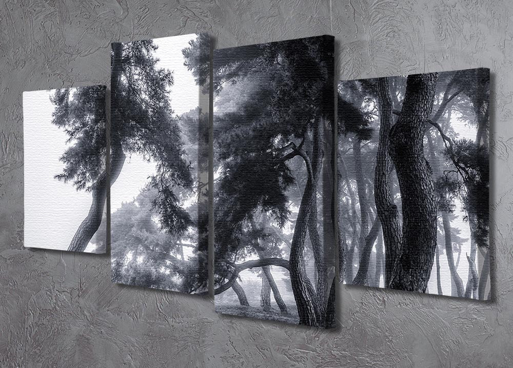 Pine Trees Dancing In The Fog 4 Split Panel Canvas - Canvas Art Rocks - 2
