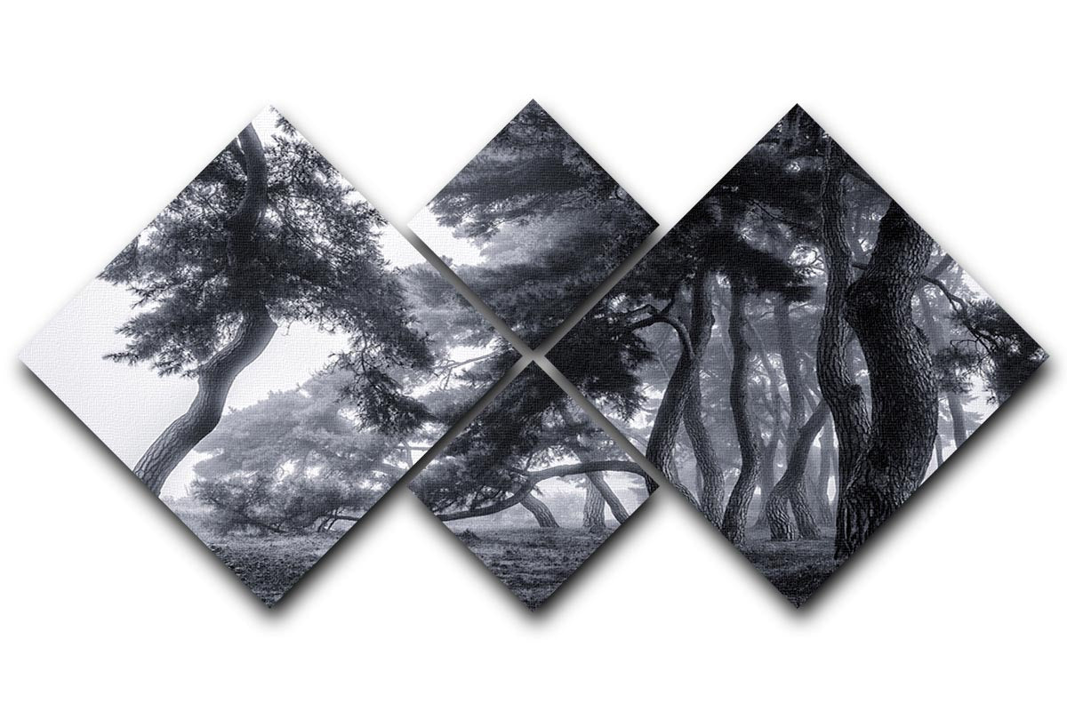 Pine Trees Dancing In The Fog 4 Square Multi Panel Canvas - Canvas Art Rocks - 1