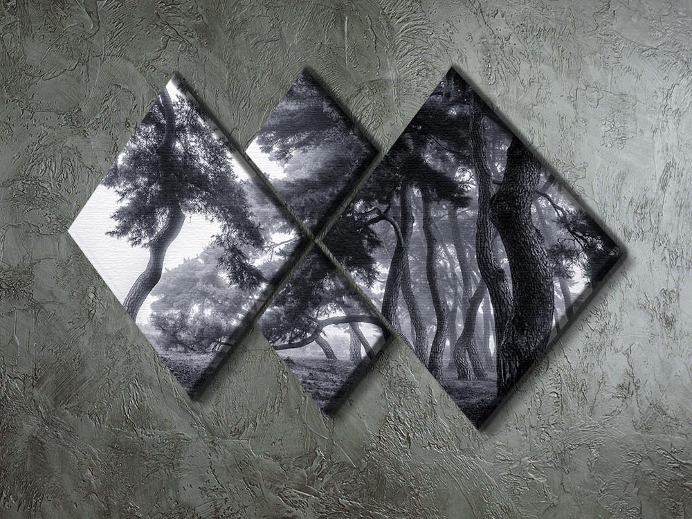 Pine Trees Dancing In The Fog 4 Square Multi Panel Canvas - Canvas Art Rocks - 2
