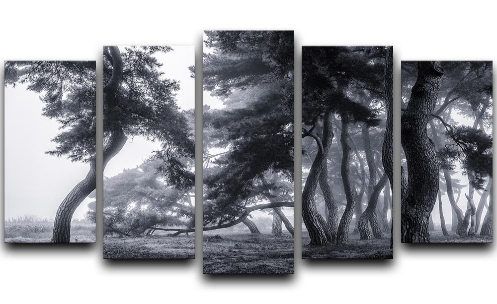 Pine Trees Dancing In The Fog 5 Split Panel Canvas - Canvas Art Rocks - 1