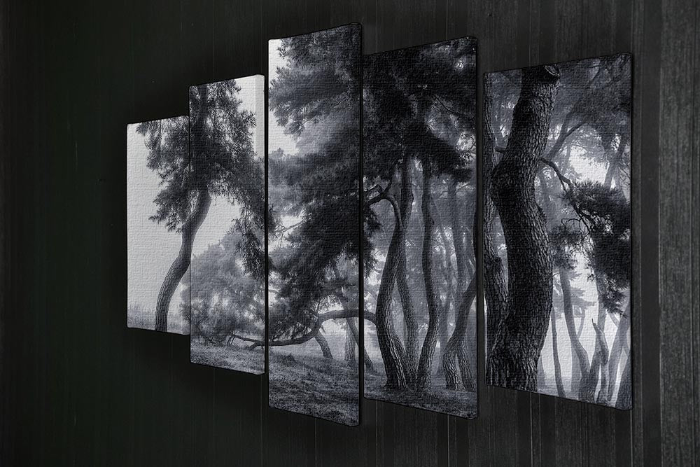 Pine Trees Dancing In The Fog 5 Split Panel Canvas - Canvas Art Rocks - 2