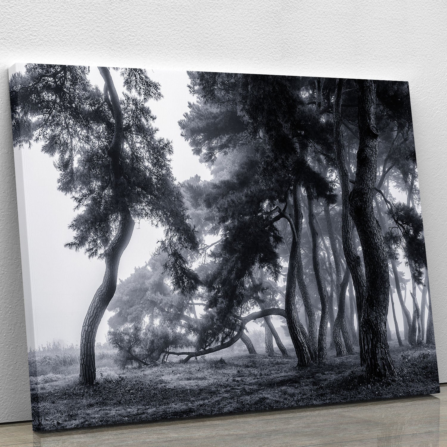 Pine Trees Dancing In The Fog Canvas Print or Poster - Canvas Art Rocks - 1