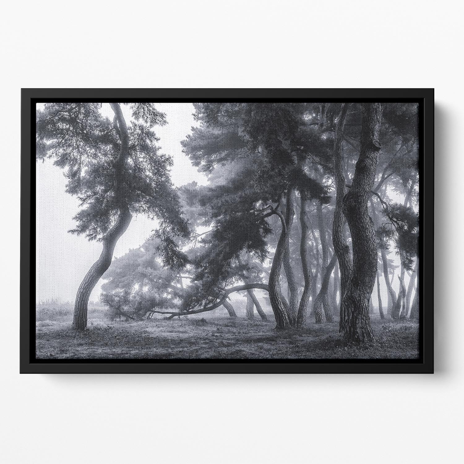 Pine Trees Dancing In The Fog Floating Framed Canvas - Canvas Art Rocks - 2