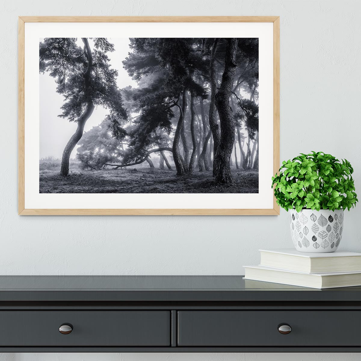 Pine Trees Dancing In The Fog Framed Print - Canvas Art Rocks - 3