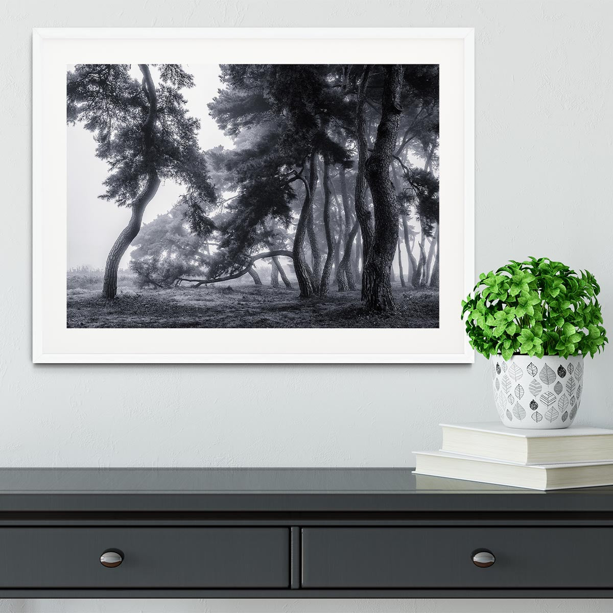 Pine Trees Dancing In The Fog Framed Print - Canvas Art Rocks - 5