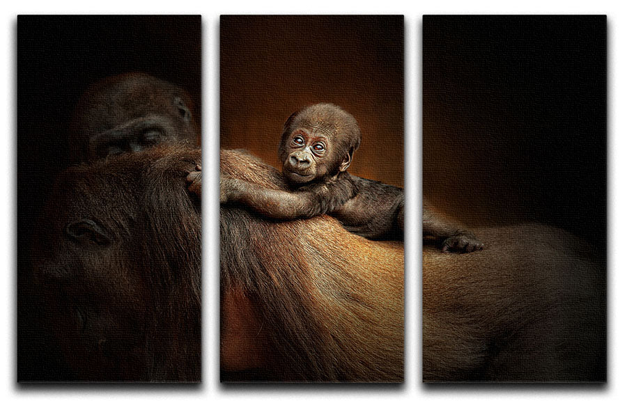 Baby Monkey 3 Split Panel Canvas Print - 1x - 1