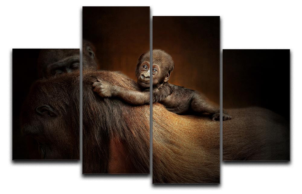 Baby Monkey 4 Split Panel Canvas - 1x - 1