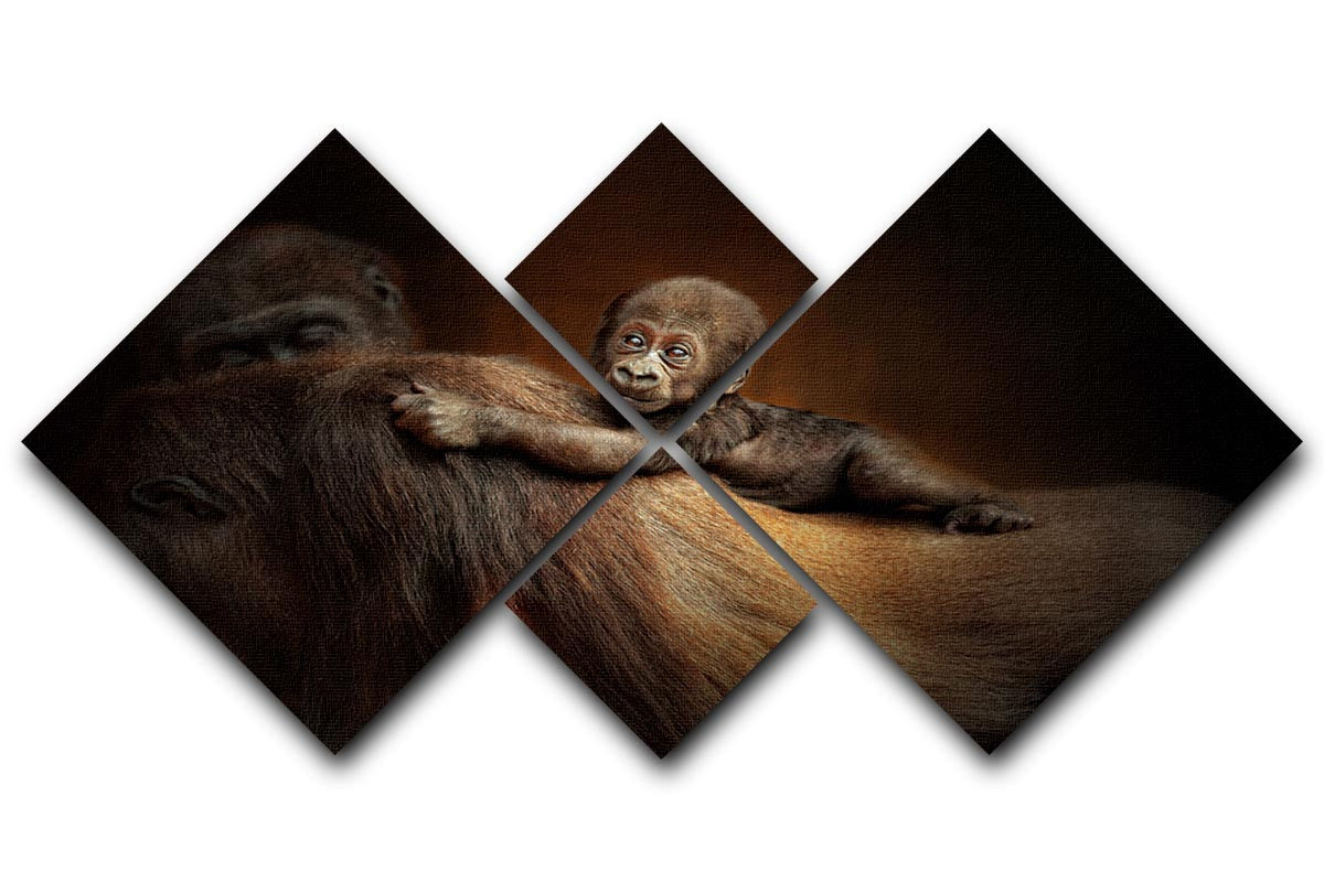 Baby Monkey 4 Square Multi Panel Canvas - 1x - 1