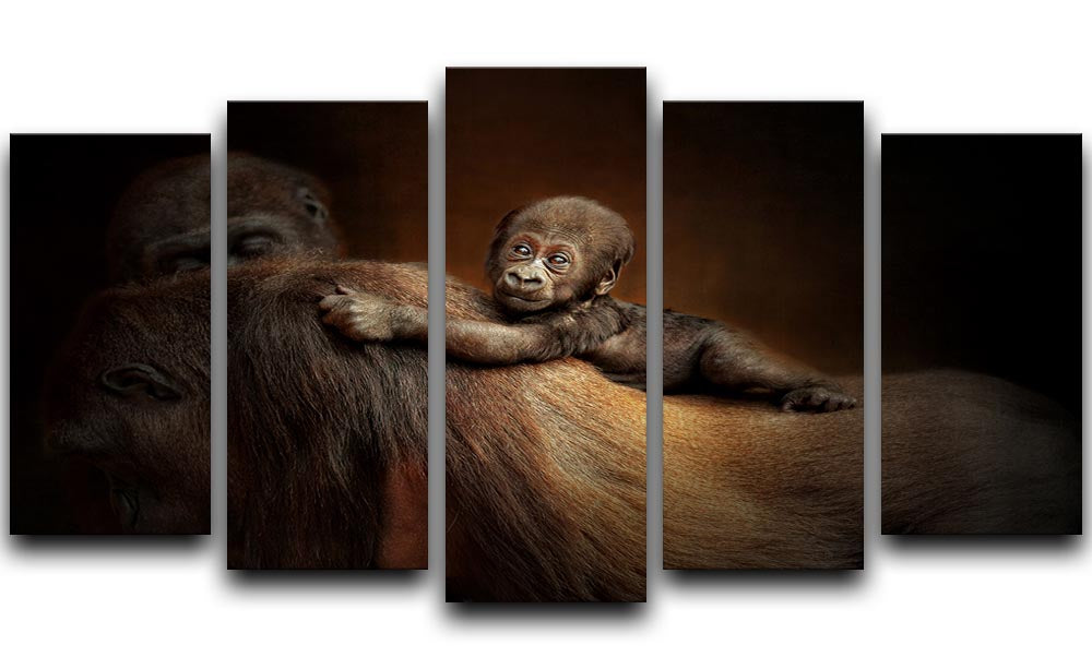 Baby Monkey 5 Split Panel Canvas - 1x - 1