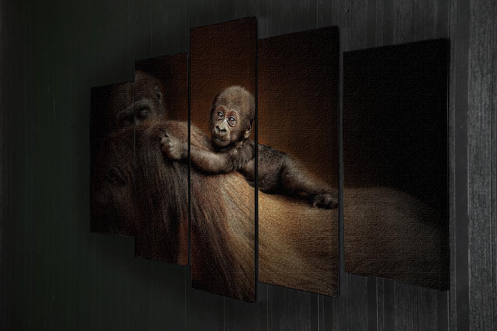 Baby Monkey 5 Split Panel Canvas - 1x - 2