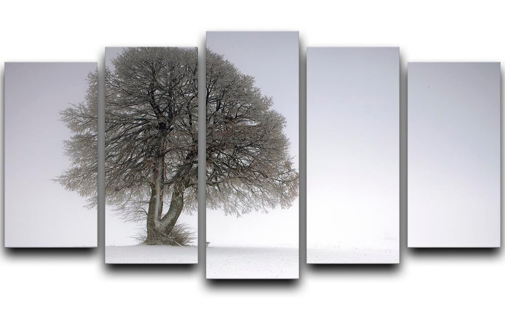 Winter Tree 5 Split Panel Canvas - Canvas Art Rocks - 1