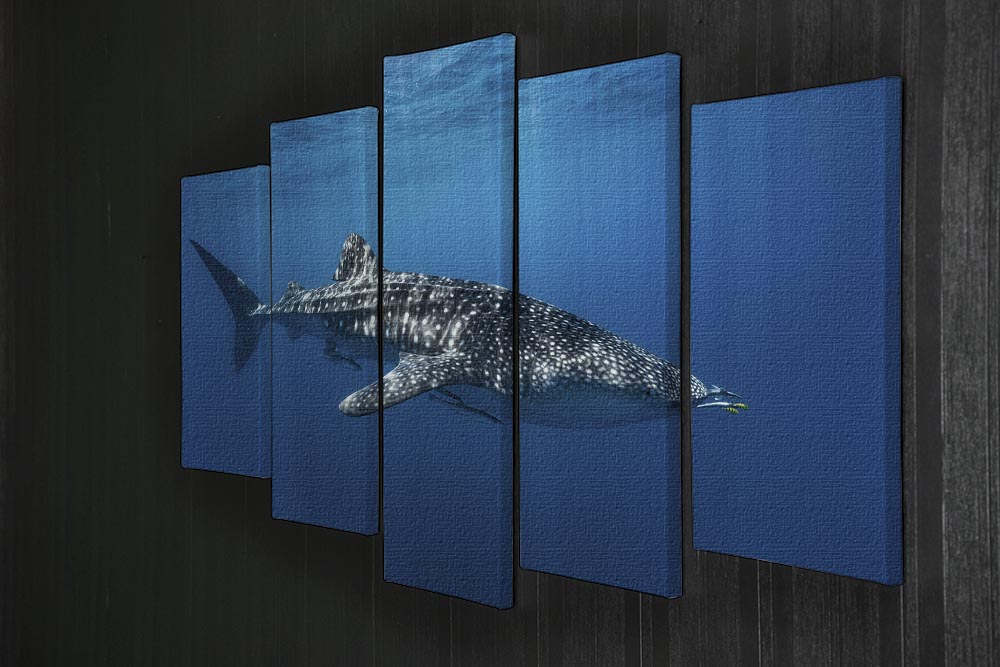 Whale Shark In The Blue 5 Split Panel Canvas - Canvas Art Rocks - 2