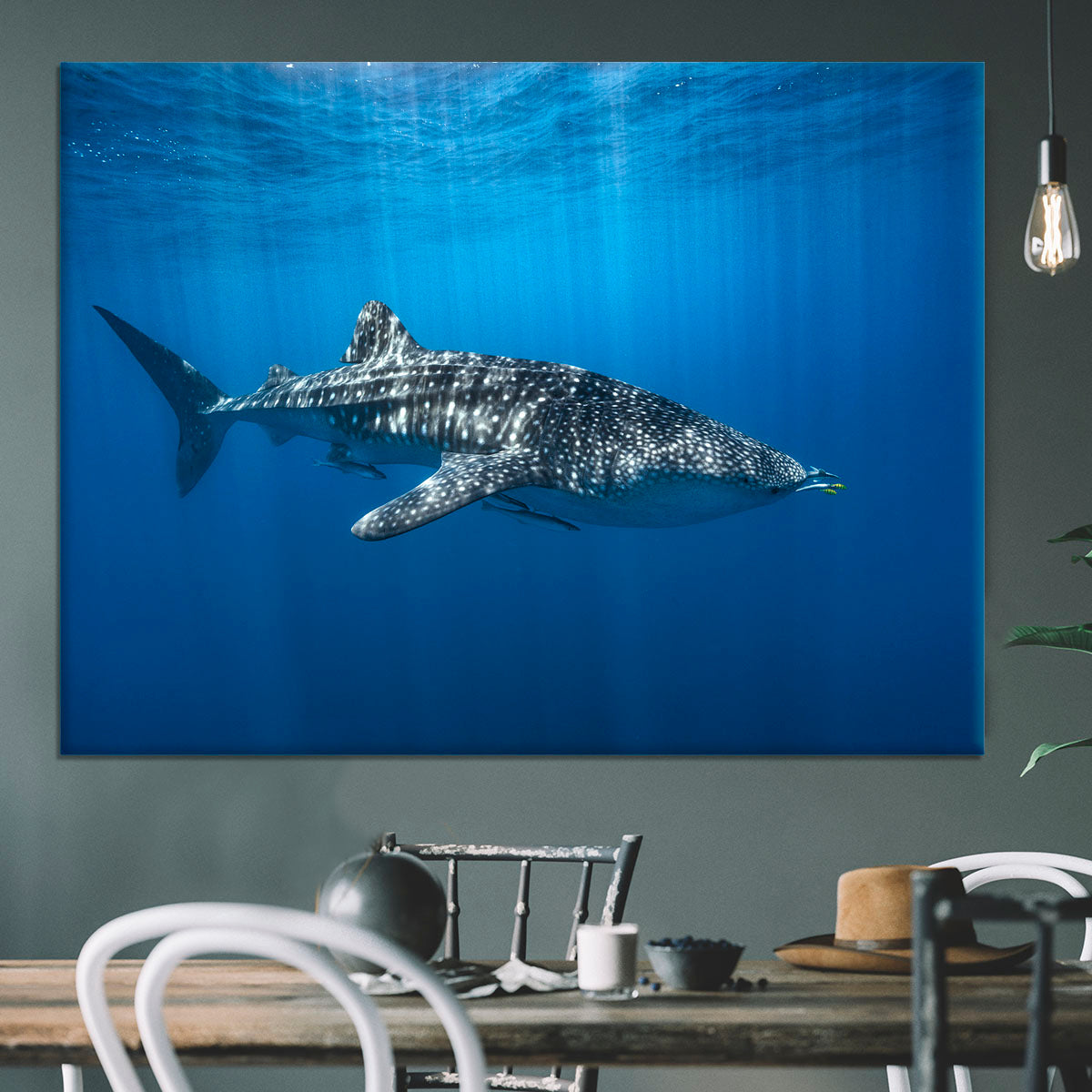 Whale Shark In The Blue Canvas Print or Poster - Canvas Art Rocks - 3