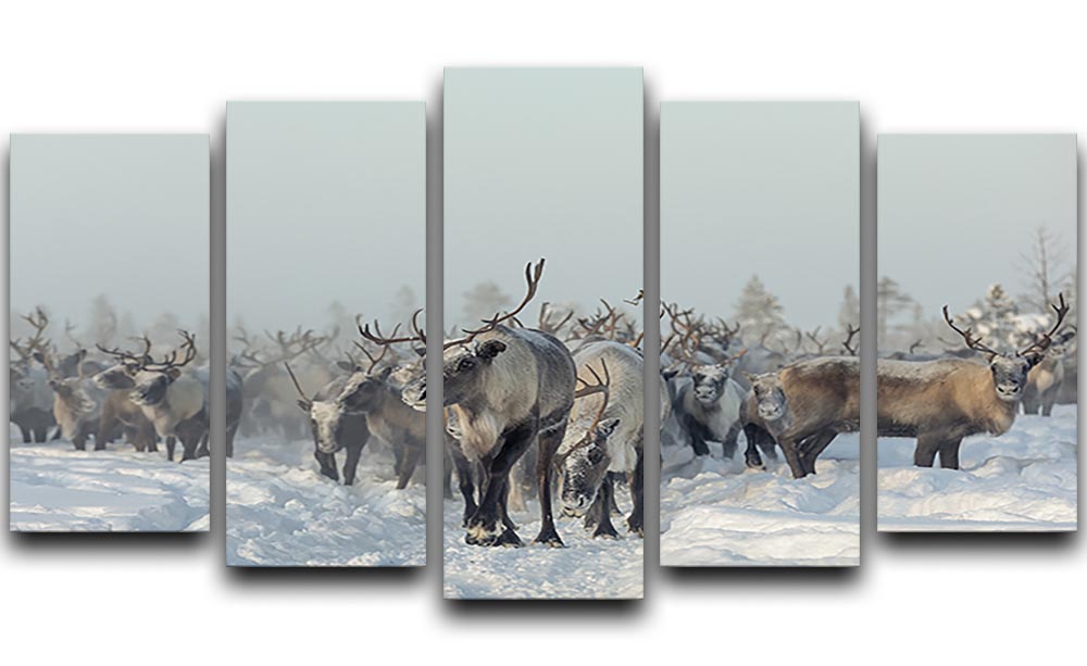 Reindeers 5 Split Panel Canvas - Canvas Art Rocks - 1