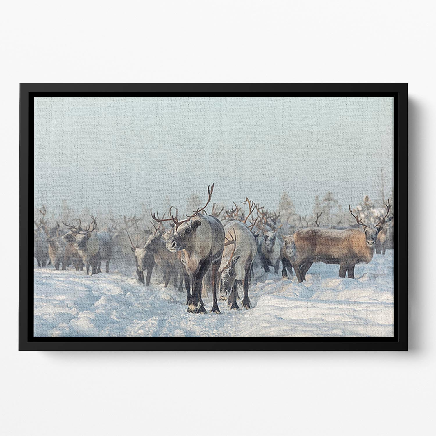 Reindeers Floating Framed Canvas - Canvas Art Rocks - 2