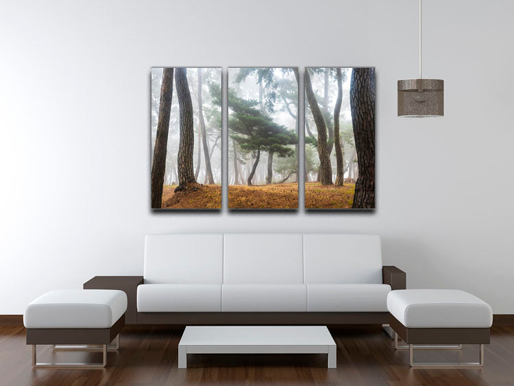In The Misty Pine Forest 3 Split Panel Canvas Print - Canvas Art Rocks - 3