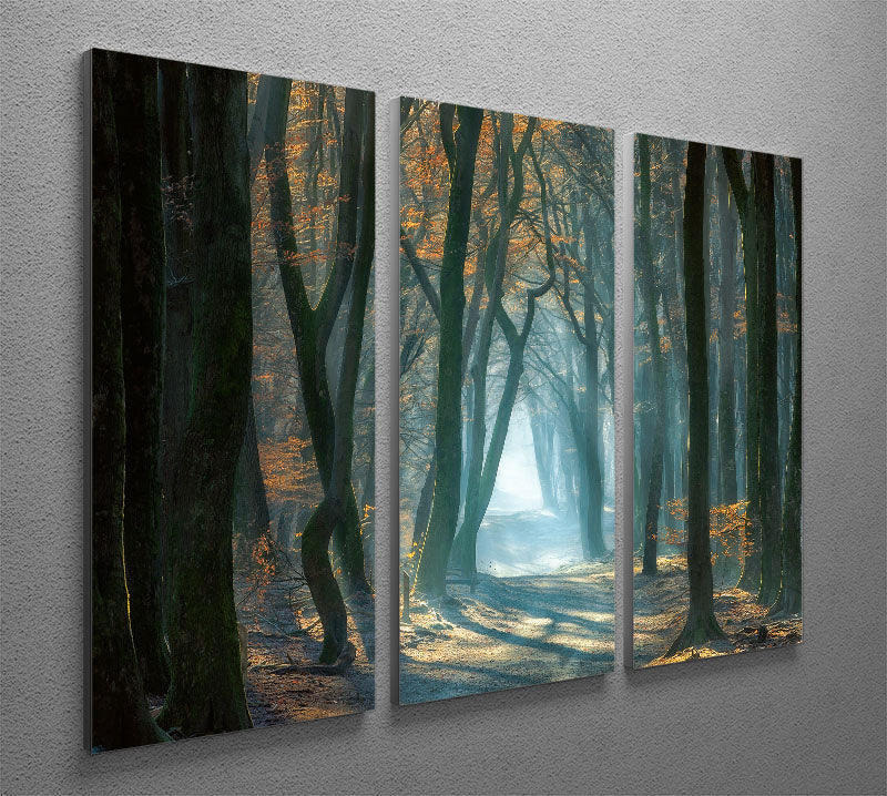 Cold Light 3 Split Panel Canvas Print - Canvas Art Rocks - 2