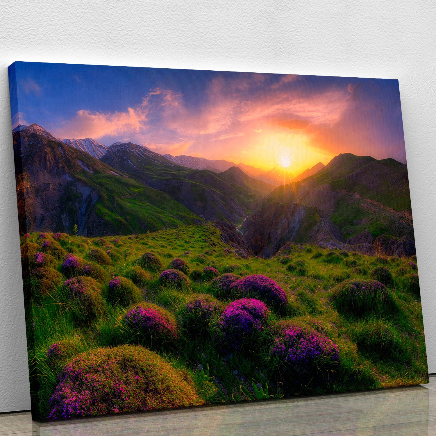 Spring In Show Canvas Print or Poster - Canvas Art Rocks - 1