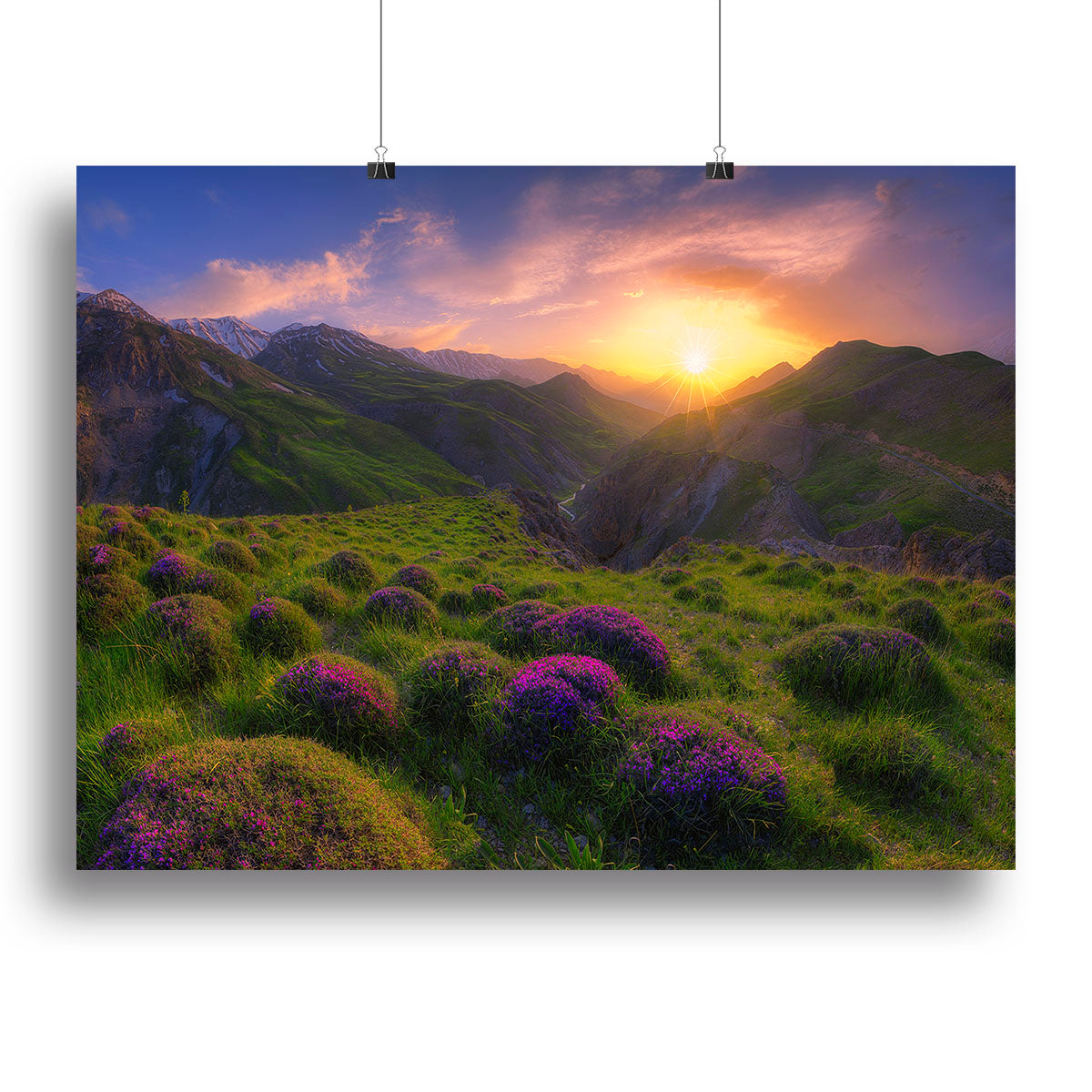 Spring In Show Canvas Print or Poster - Canvas Art Rocks - 2