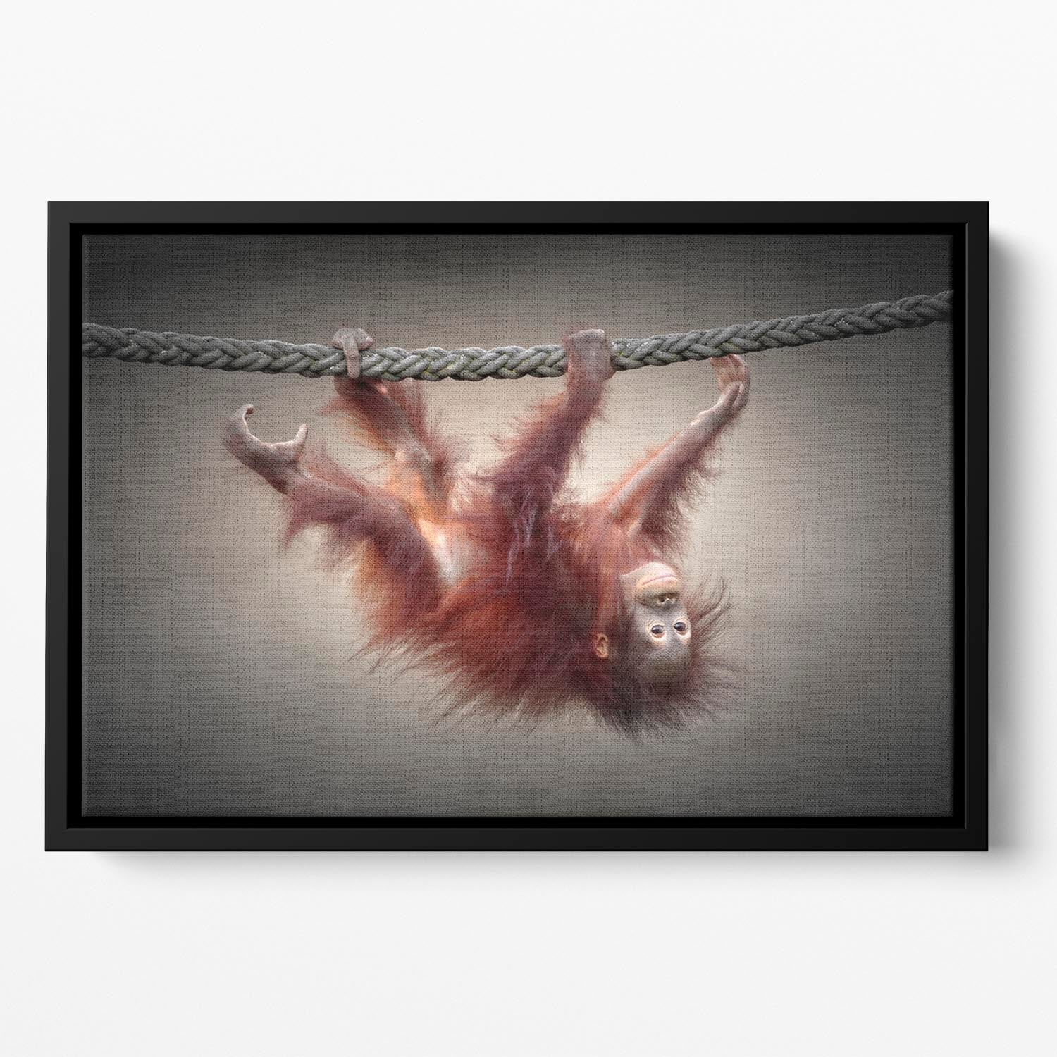 Climbing Monkey Floating Framed Canvas - Canvas Art Rocks - 2