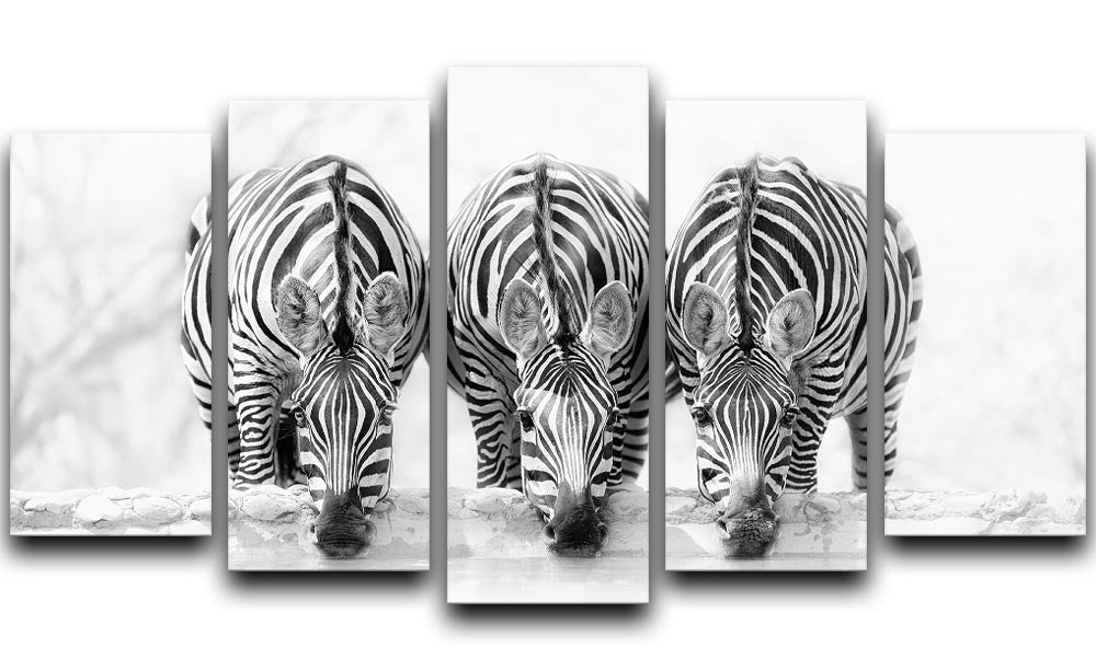 Zebras Drinking 5 Split Panel Canvas - Canvas Art Rocks - 1